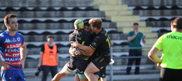 Rugby Viadana, che esordio: batte Rovigo e si candida a protagonista