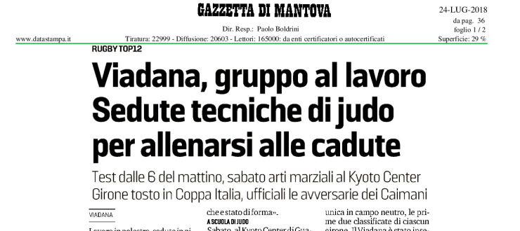 Viadana, gruppo al lavoro. Sedute tecniche di judo per allenarsi alle cadute