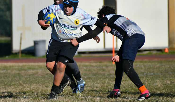 Dominica di leoni, giovani leoni e leoncini gialloneri